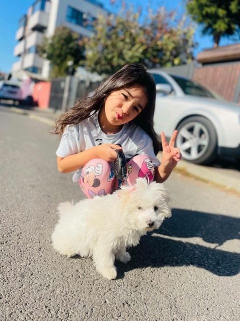 Kira - dog lost, Barcelona