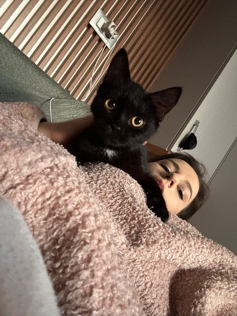 Mimi - cat found, Budapest