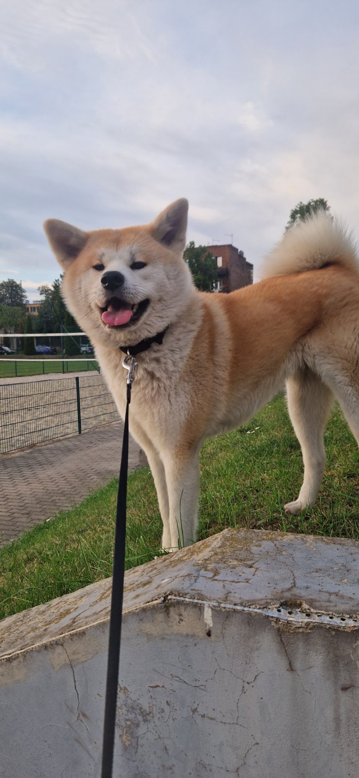 Fukiko